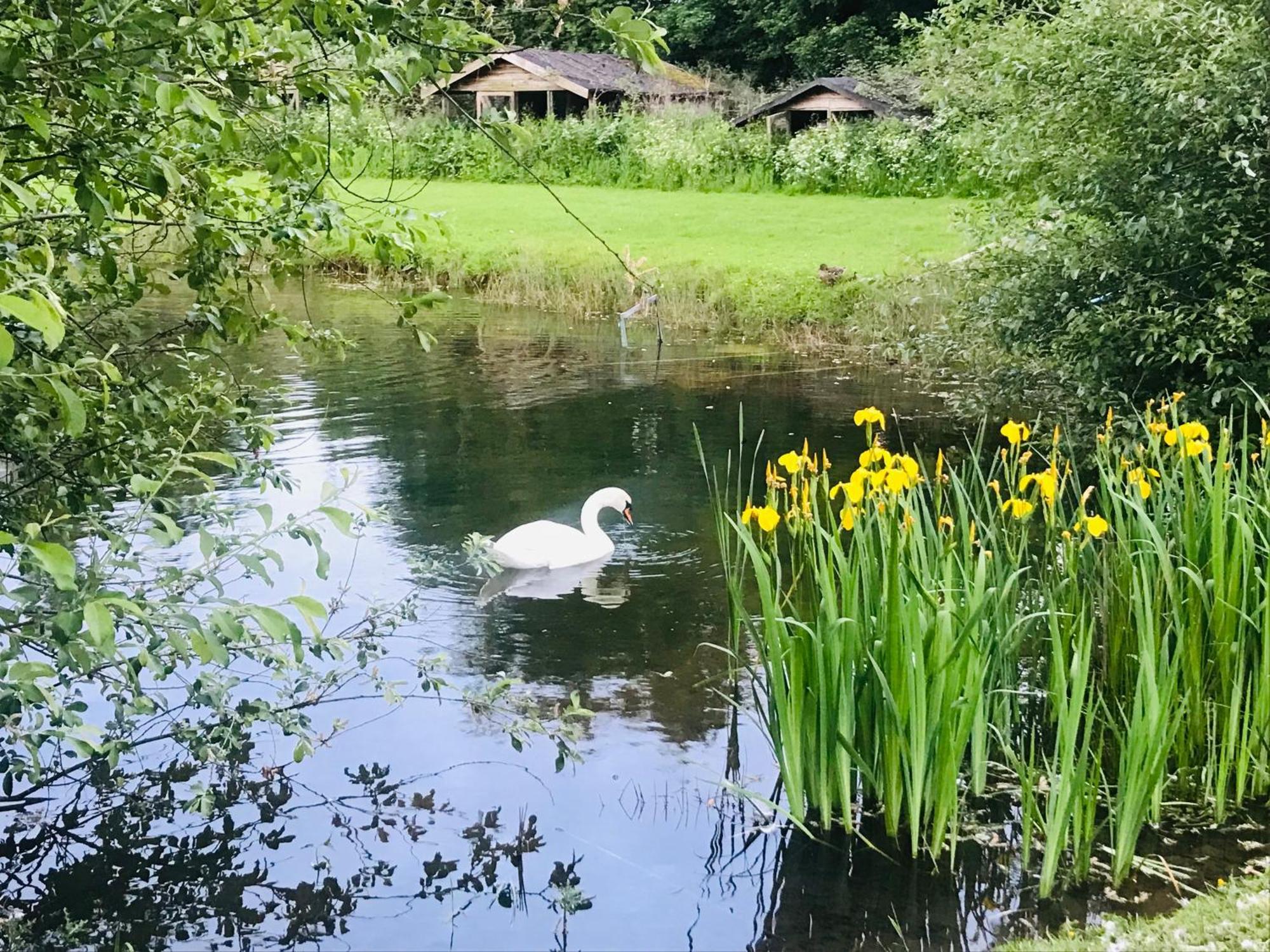 Bransford Farm Fishery & B & B Esterno foto