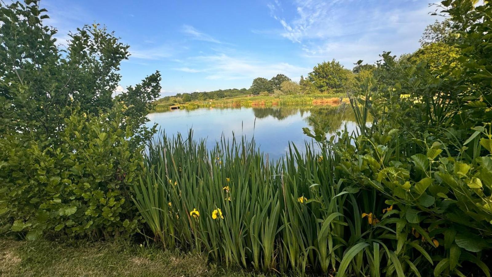 Bransford Farm Fishery & B & B Esterno foto